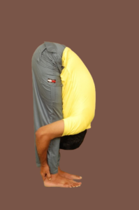 Standing Forward Bend Benefits