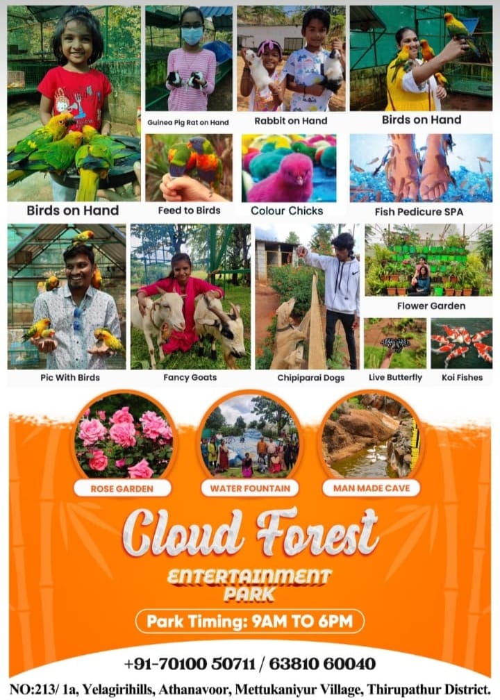 Yelagiri Cloud Forest