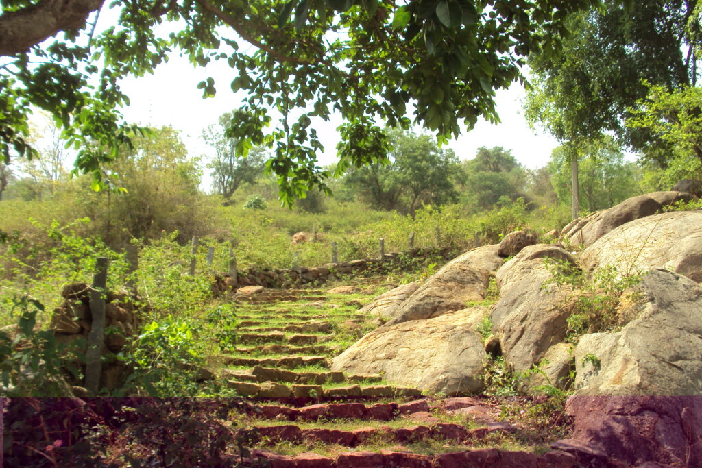 Yelagiri Swamimalai 