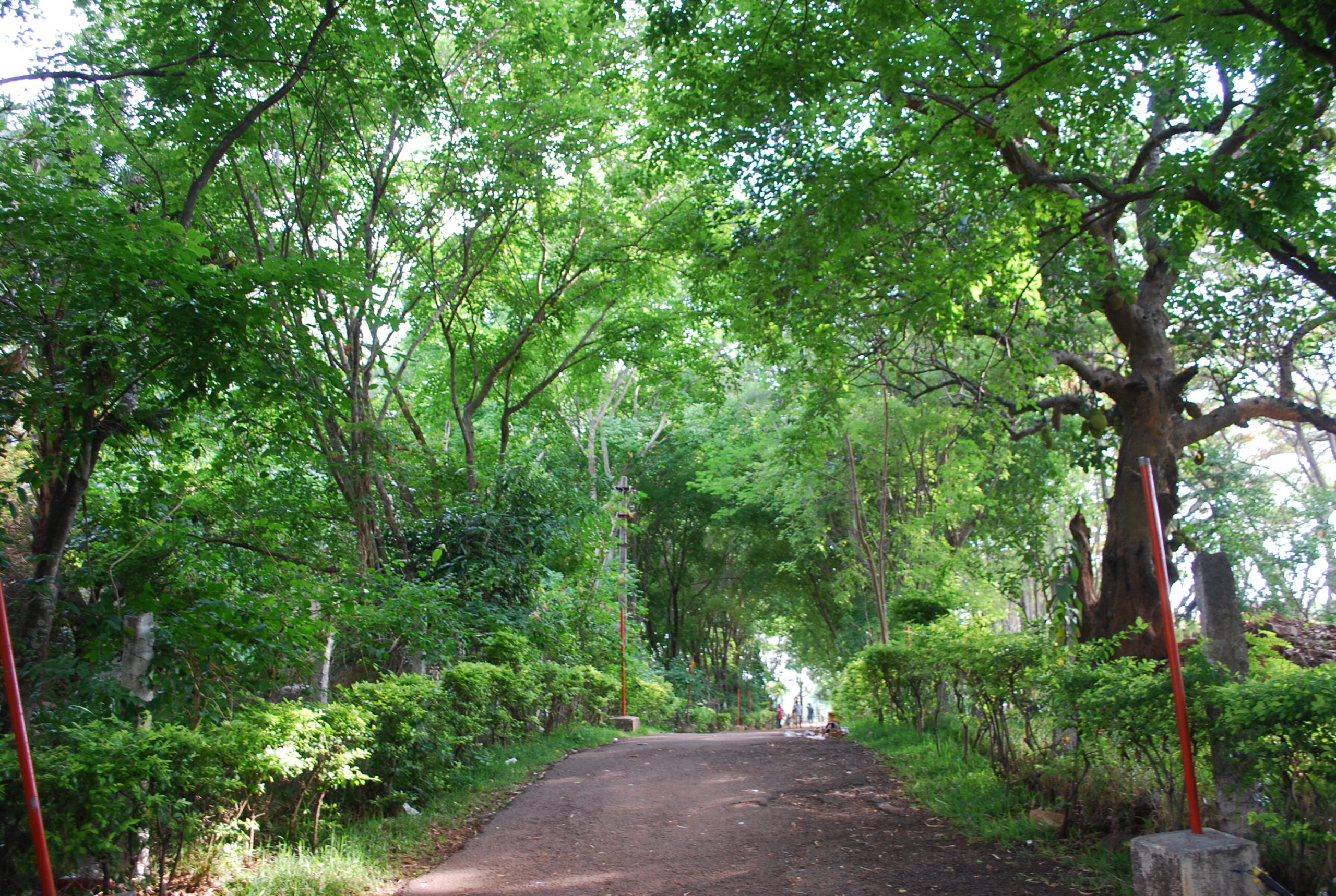 Yelagiri Nature Park 