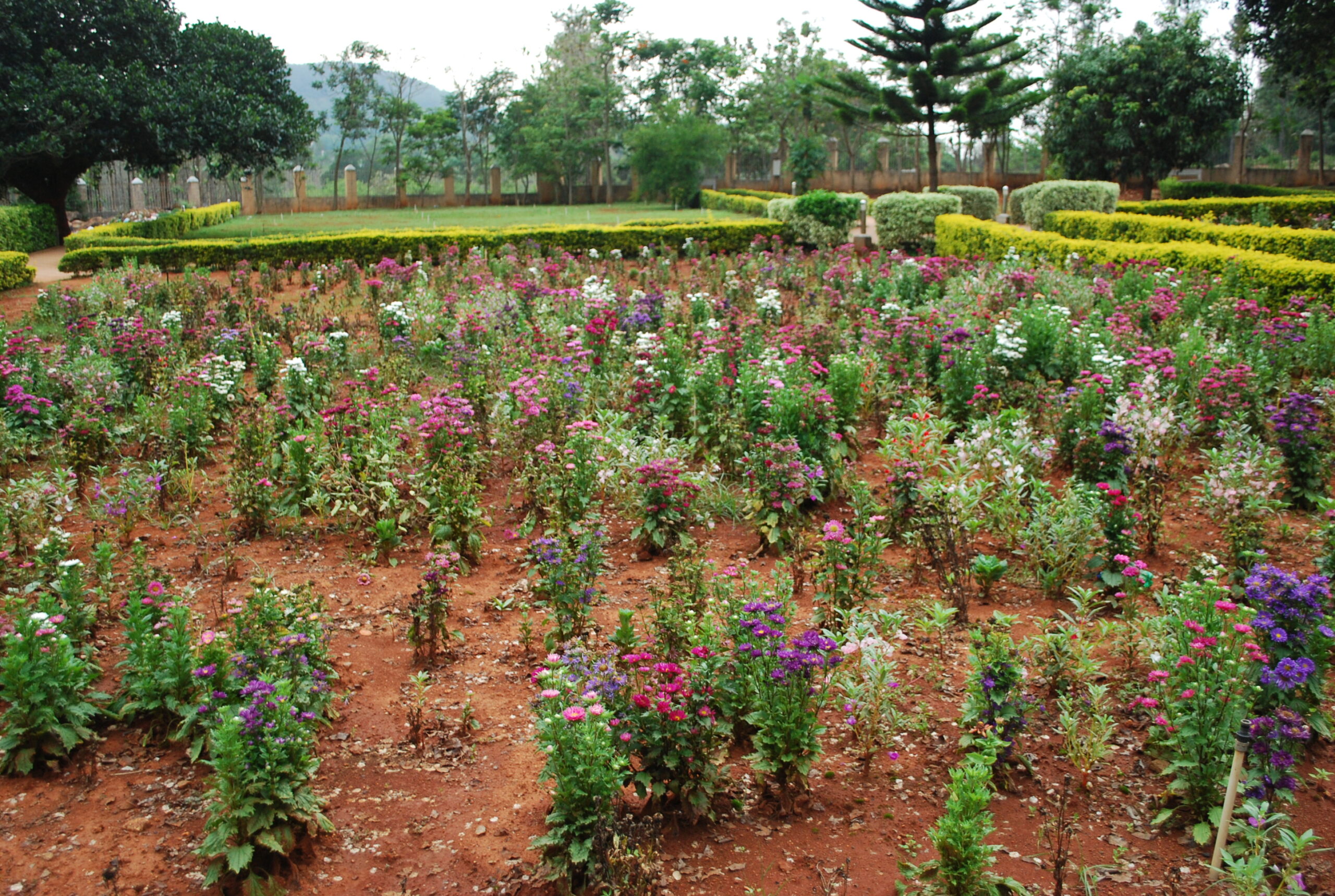 Yelagiri Nature Park