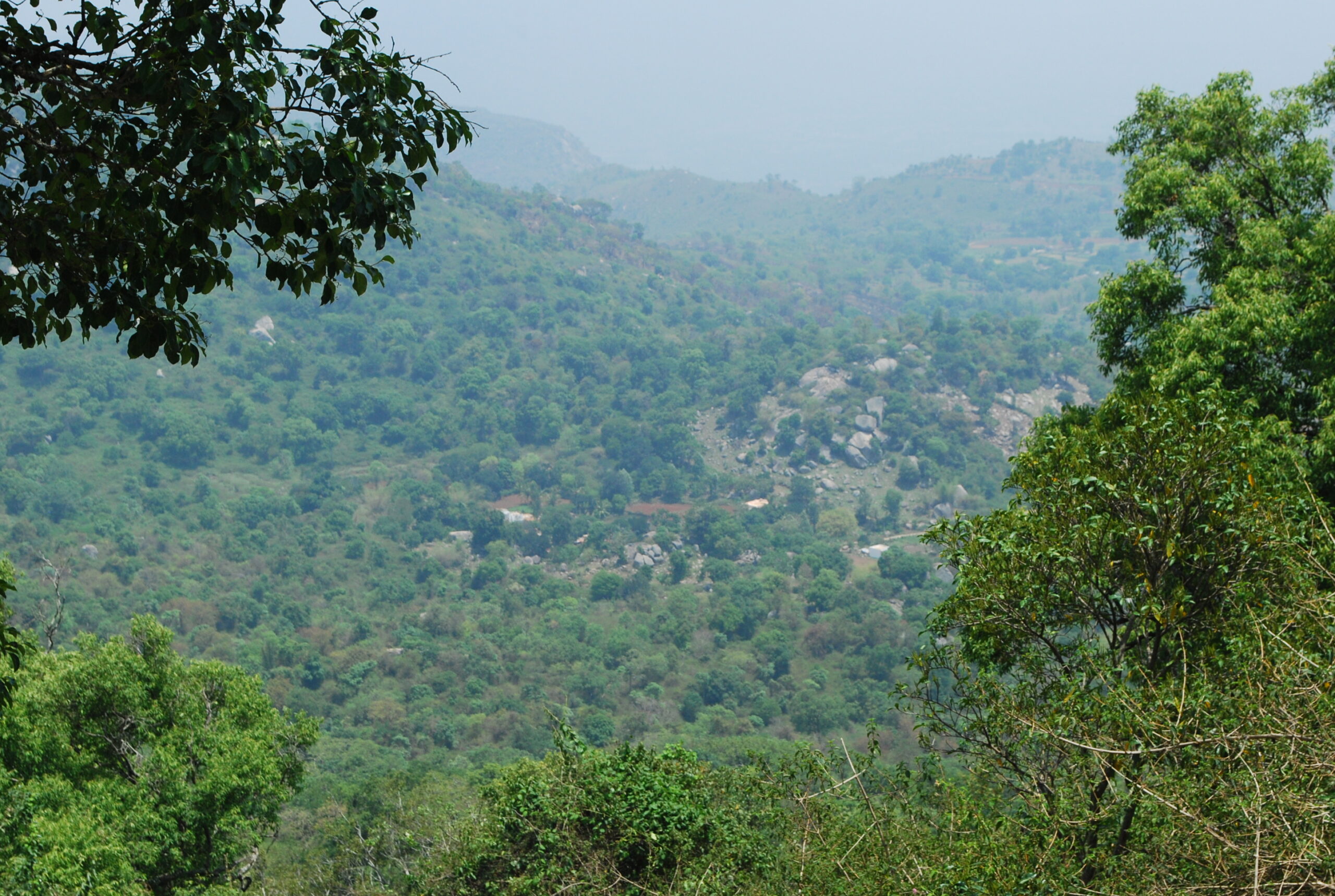 Yelagiri Swamimalai