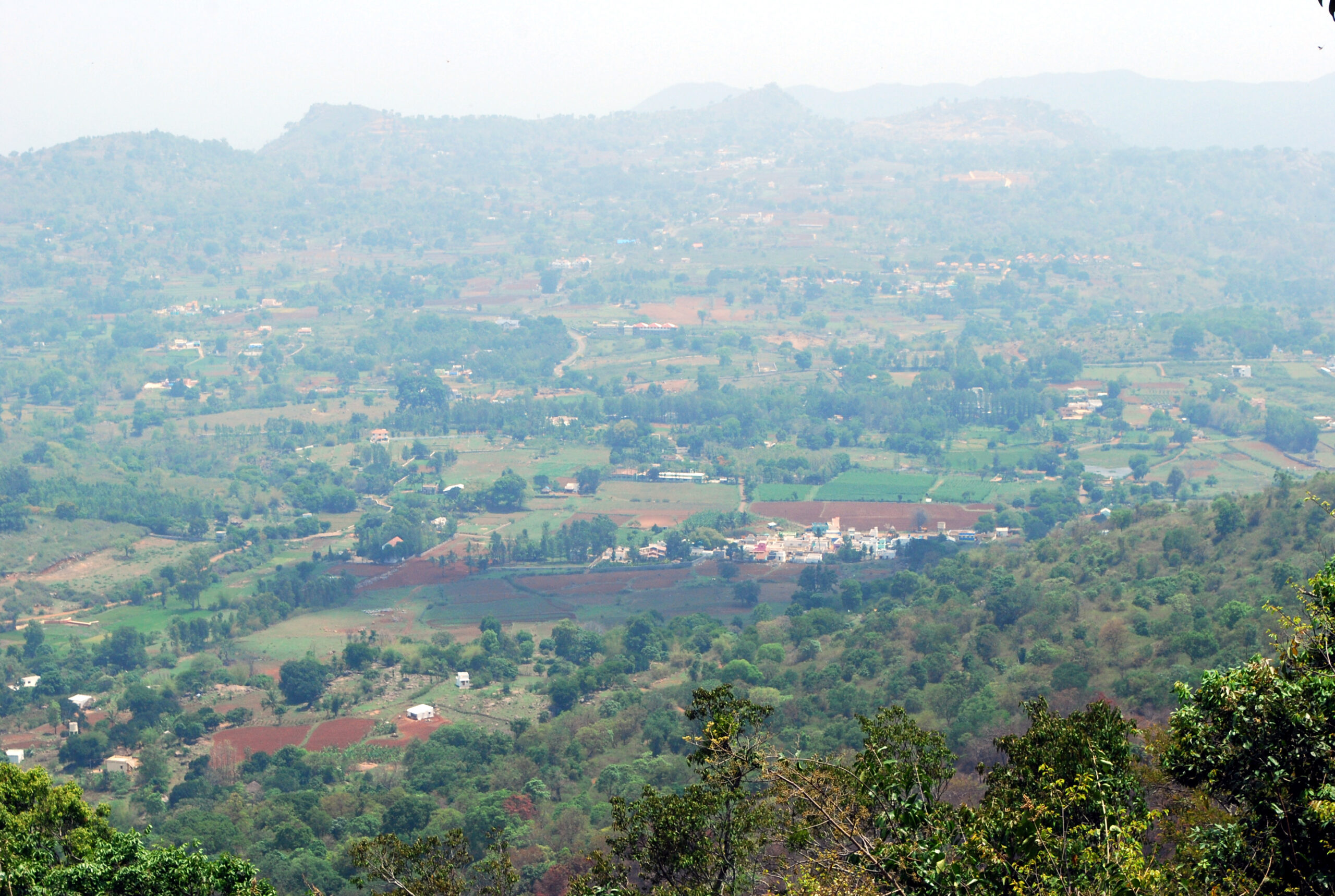 Yelagiri Swamimalai