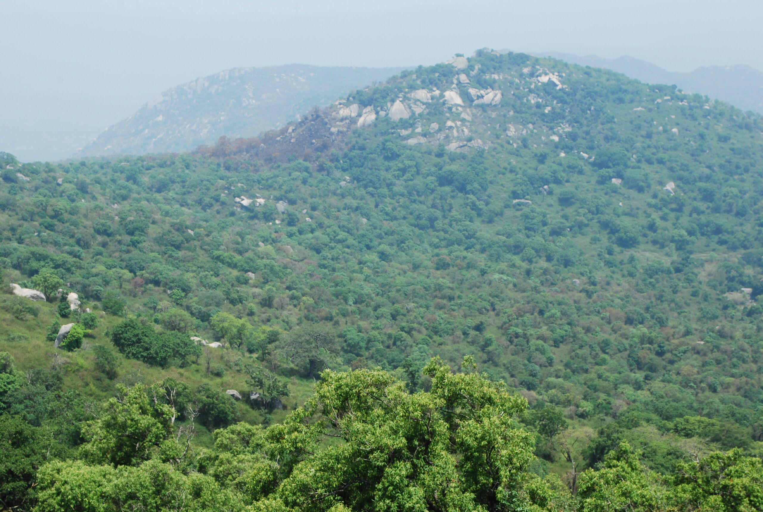 Yelagiri Swamimalai