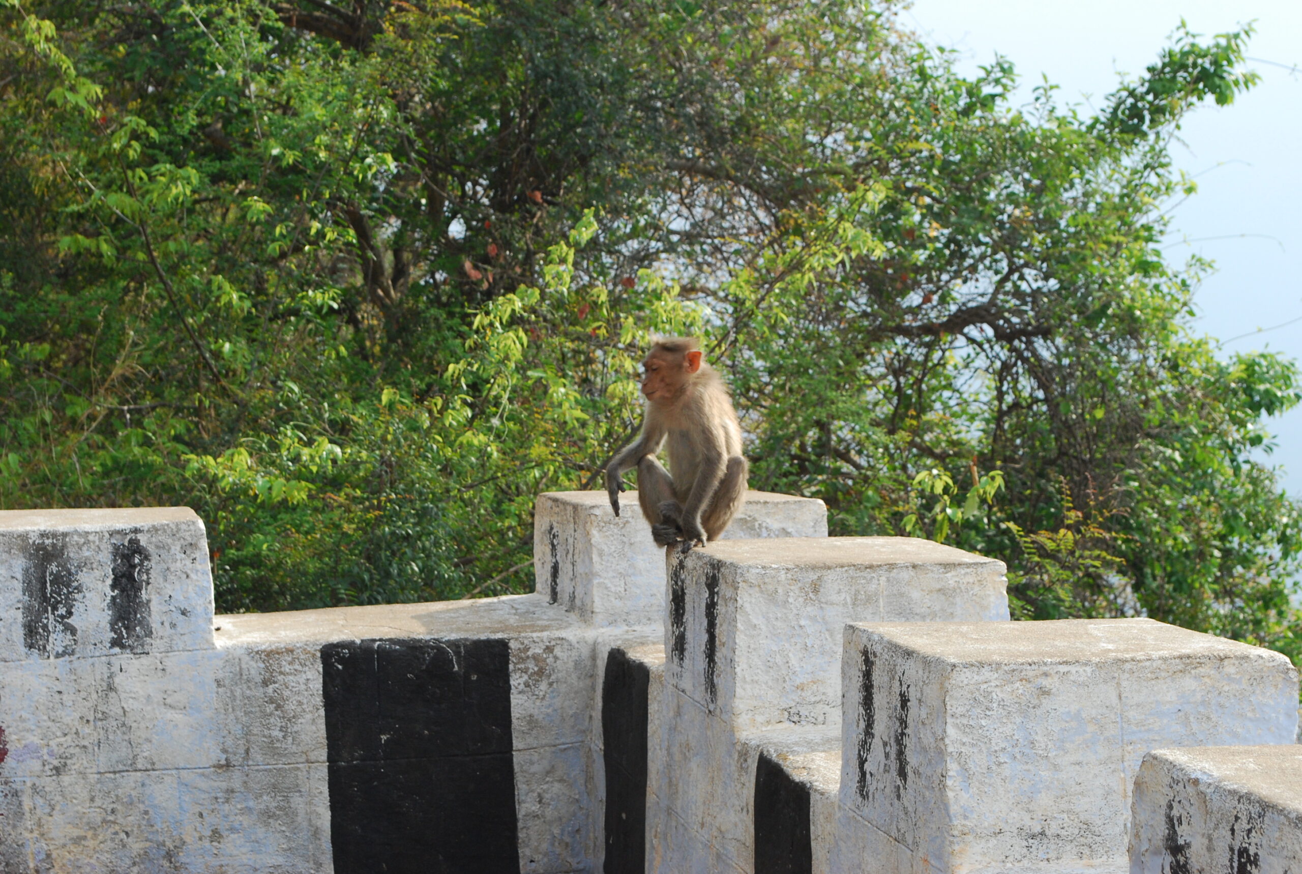 Yelagiri Swamimalai