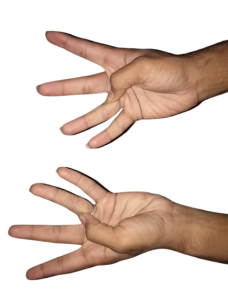 Detoxification Mudra