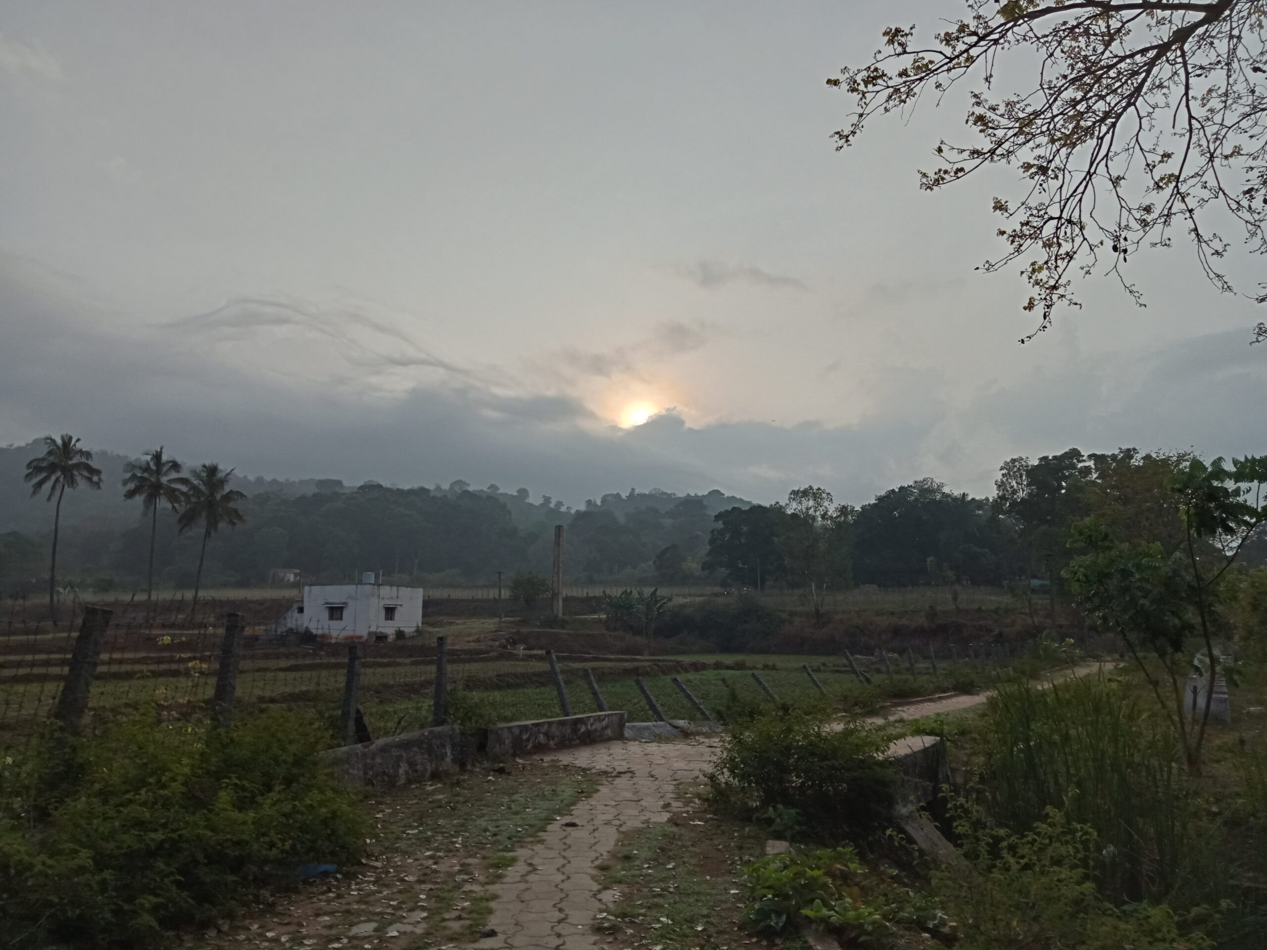 Yelagiri Lake Walker's Path