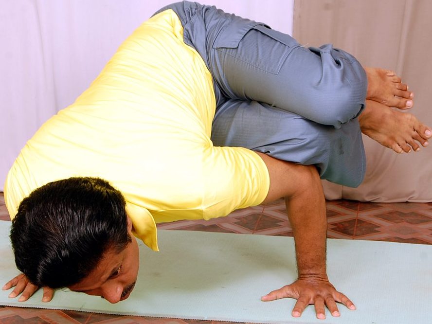 Tummee.com - Learn and teach your students about Crow Pose (Kakasana) at  https://www.tummee.com/yoga-poses/crow-pose Level: Advanced Position:  Sitting Type: Strength, Inversion, Balance View the #yogapose and learn its  Sanskrit pronunciation at https ...