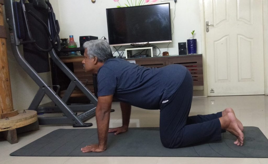 Cow Pose