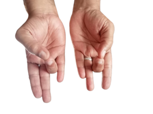 Sandhi Mudra