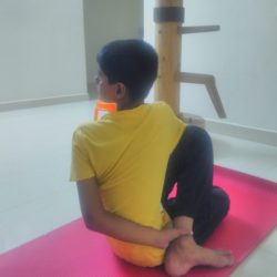 Ardha Matsyendrasana – Adhavan Ardha Matsyendrasana - Adhavan