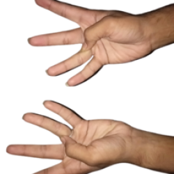 Detoxification Mudra cropped with 3D - 1