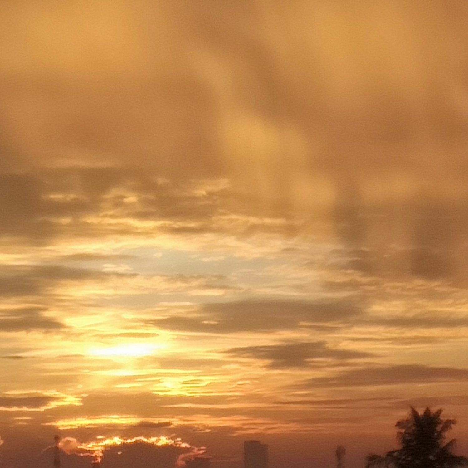 Sky 2 Sky 2