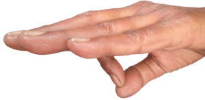 Jnana Mudra 