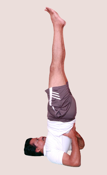 Shoulder Stand